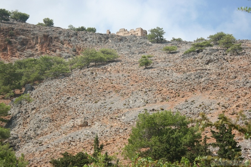 IMG_3926.jpg