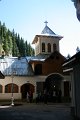 IMG_6590