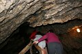 IMG_6601