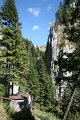 IMG_6631