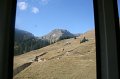 IMG_6646