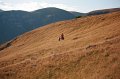 IMG_6728