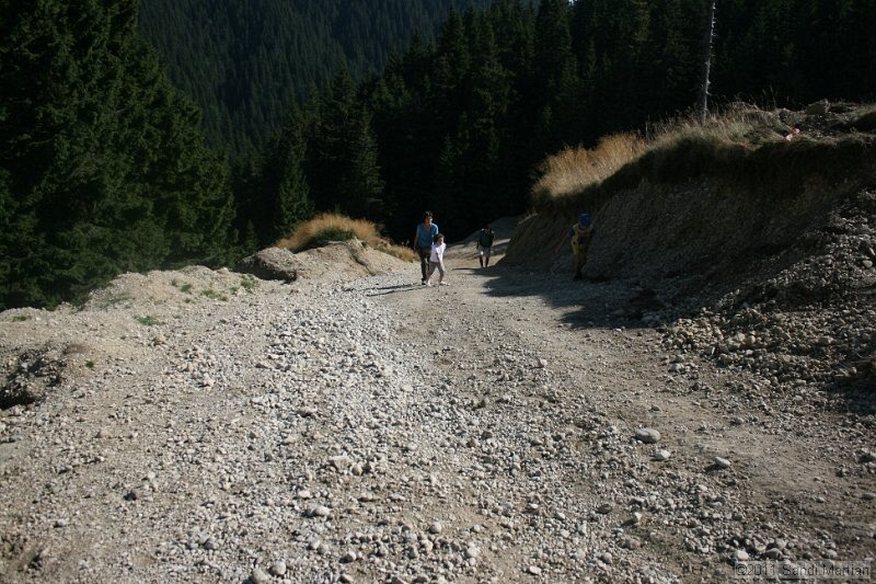 IMG_6451.JPG