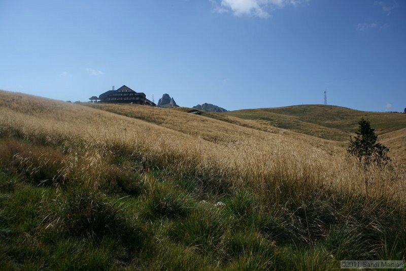IMG_6455.JPG