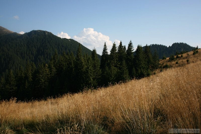 IMG_6506.JPG