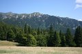 IMG_6419