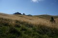 IMG_6455