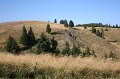 IMG_6504