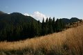 IMG_6506