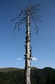 IMG_6511