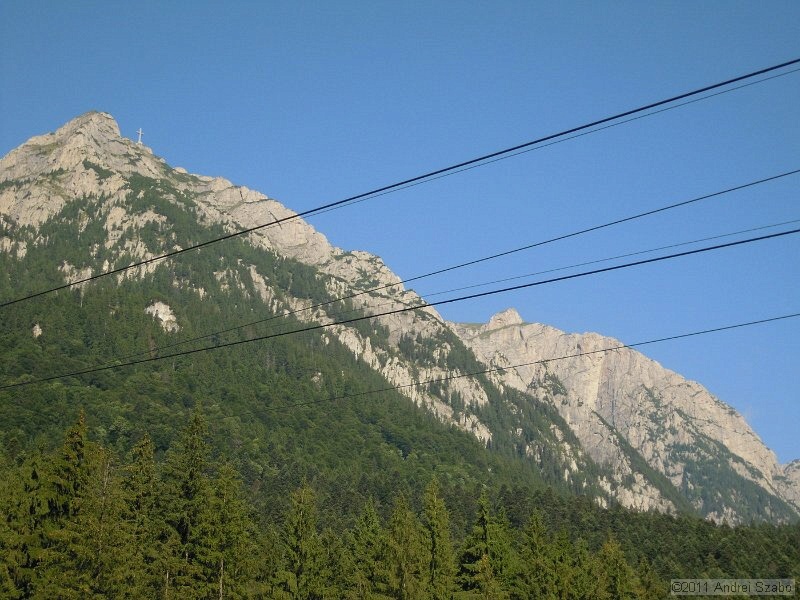DSCN3487.jpg