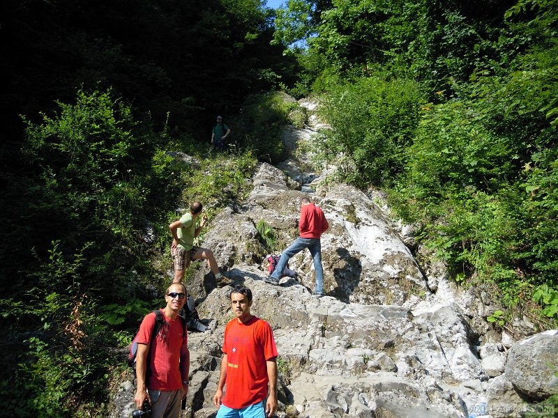 DSCN3491.jpg