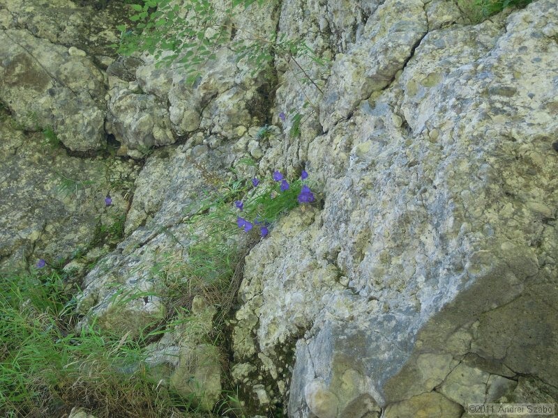 DSCN3494.jpg