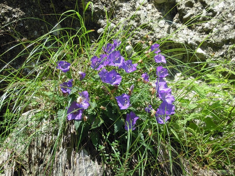 DSCN3496.jpg