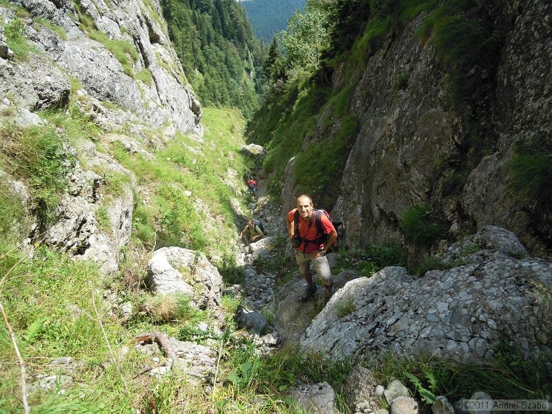 DSCN3497.jpg
