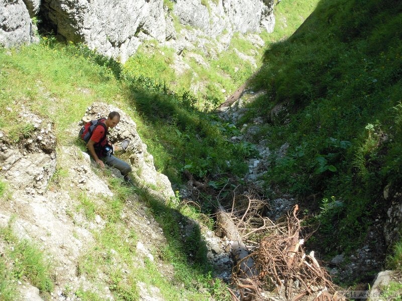 DSCN3498.jpg