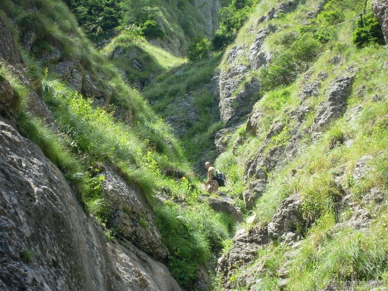DSCN3500.jpg