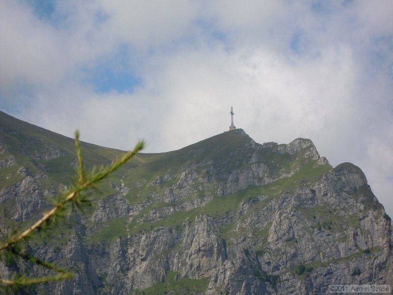 DSCN3533.jpg