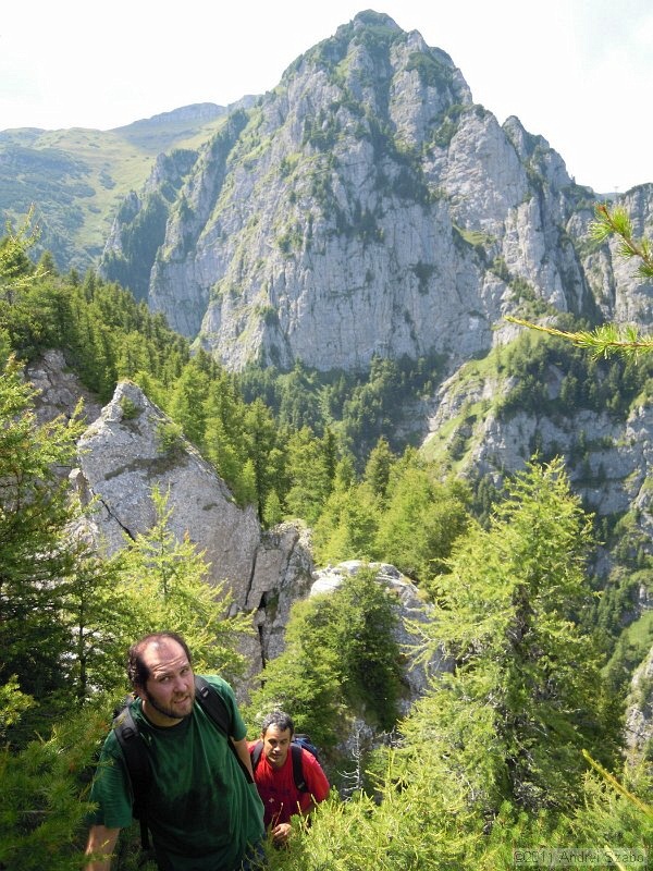 DSCN3535.jpg