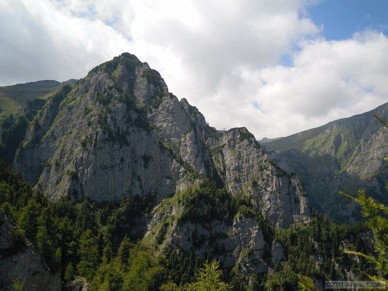 DSCN3536.jpg