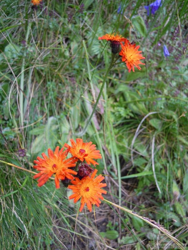 DSCN3544.jpg