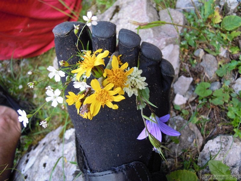 DSCN3552.jpg