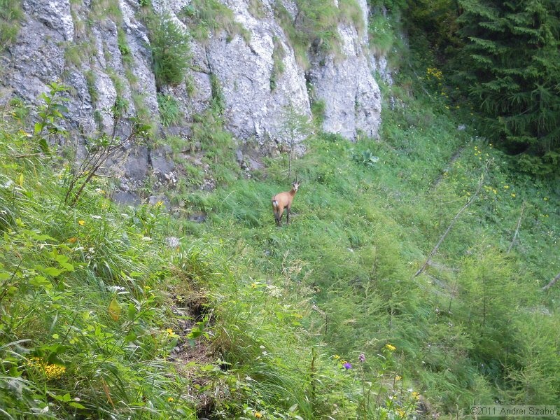 DSCN3557.jpg