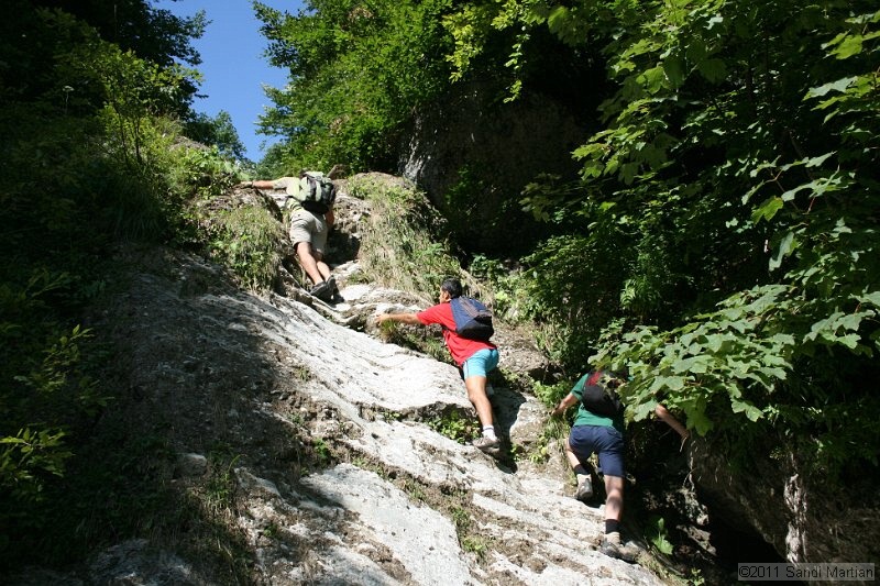 IMG_5871.JPG