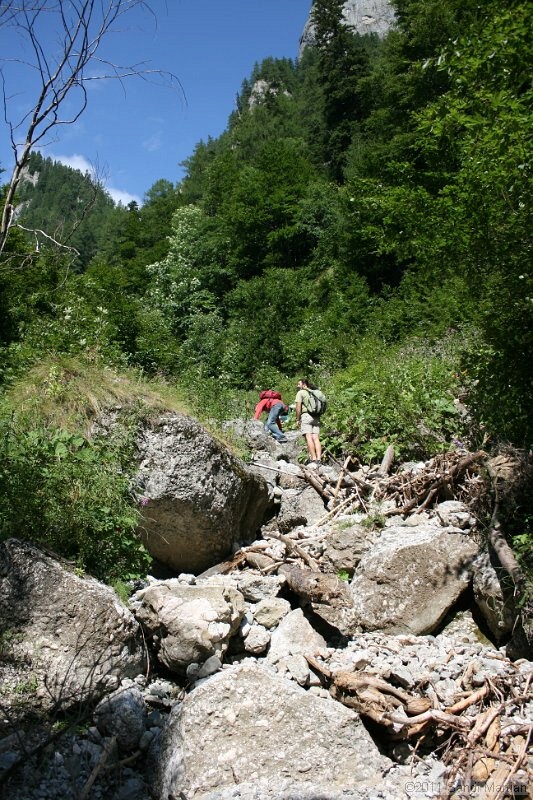 IMG_5880.JPG