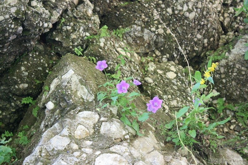 IMG_5888.JPG