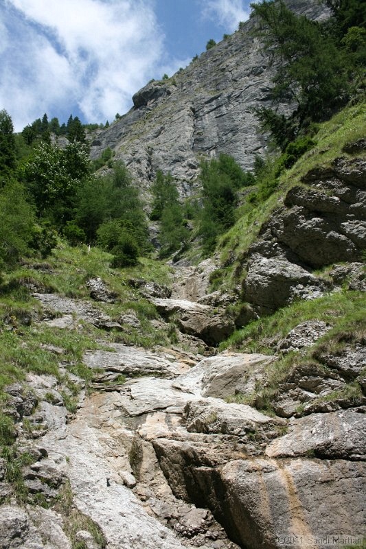 IMG_6014.JPG