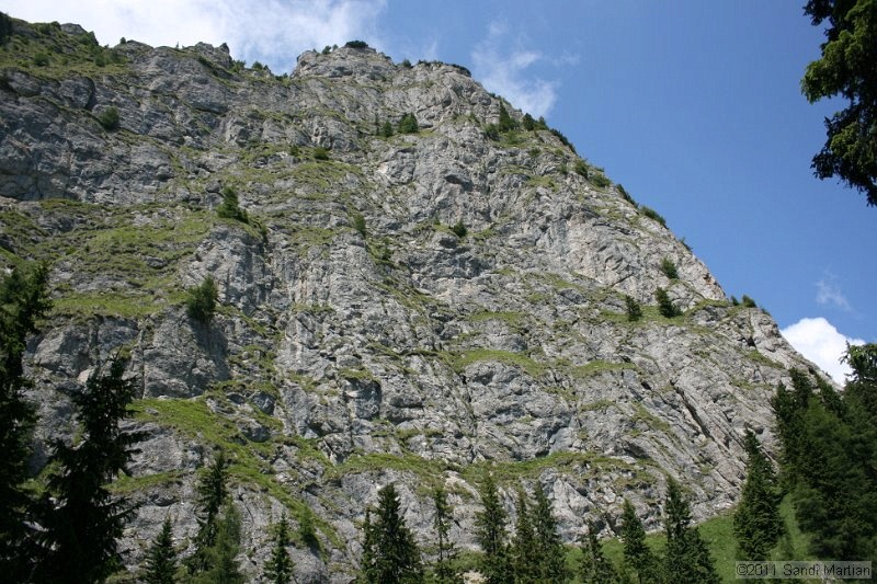 IMG_6042.JPG