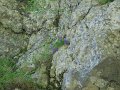 DSCN3494
