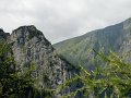 DSCN3534