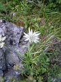 DSCN3547