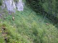 DSCN3556