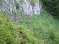 DSCN3557