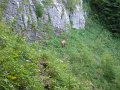 DSCN3558