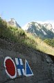 IMG_5866