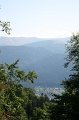 IMG_5877