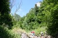 IMG_5879