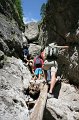 IMG_5937