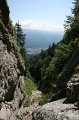 IMG_5982