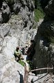 IMG_5986