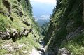 IMG_5992