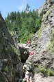 IMG_5997