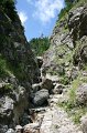 IMG_5998