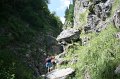 IMG_6017