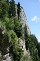 IMG_6021