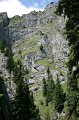IMG_6041